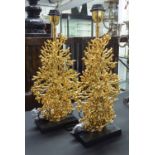 TABLE LAMPS, a pair, gilded coral style on black bases, 50cm H.