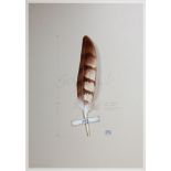 TONY LADD 'Feathers studies', stamped, signed and numbered print, edition of 12, 88cm x 49cm each,