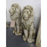 LIONS, a pair in reconstituted stone, 58cm H.