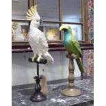 MENAGAGERIE OF BIRDS, a set of two, hand painted polychrome finish, 54cm H.