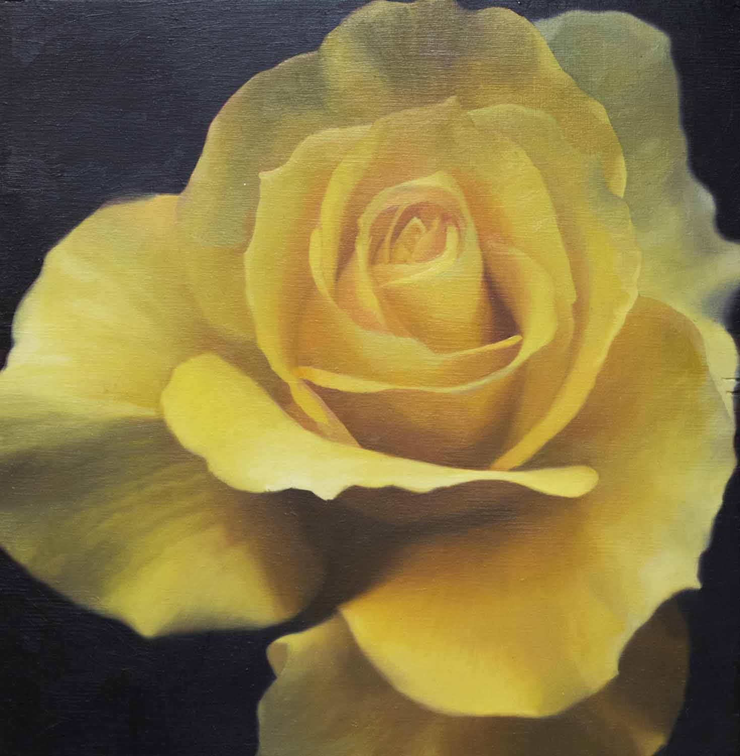 SARAH GREGORY 'Yellow Rose', 2000, acrylic on board, signed and dedicated verso, 28cm x 28cm.