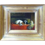 20th CENTURY SCHOOL 'Puppies Resting on a Table', oil on board, 21cm x 26cm, framed.