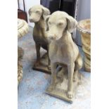 COUNTRY 'ESTATE' HOUND STATUES, a pair, vintage 'Cotswold Stone' design, weathered finish, 75cm H.