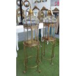 ORANGERY LANTERNS, a pair, French Provincial style gilt finish, 135cm H.