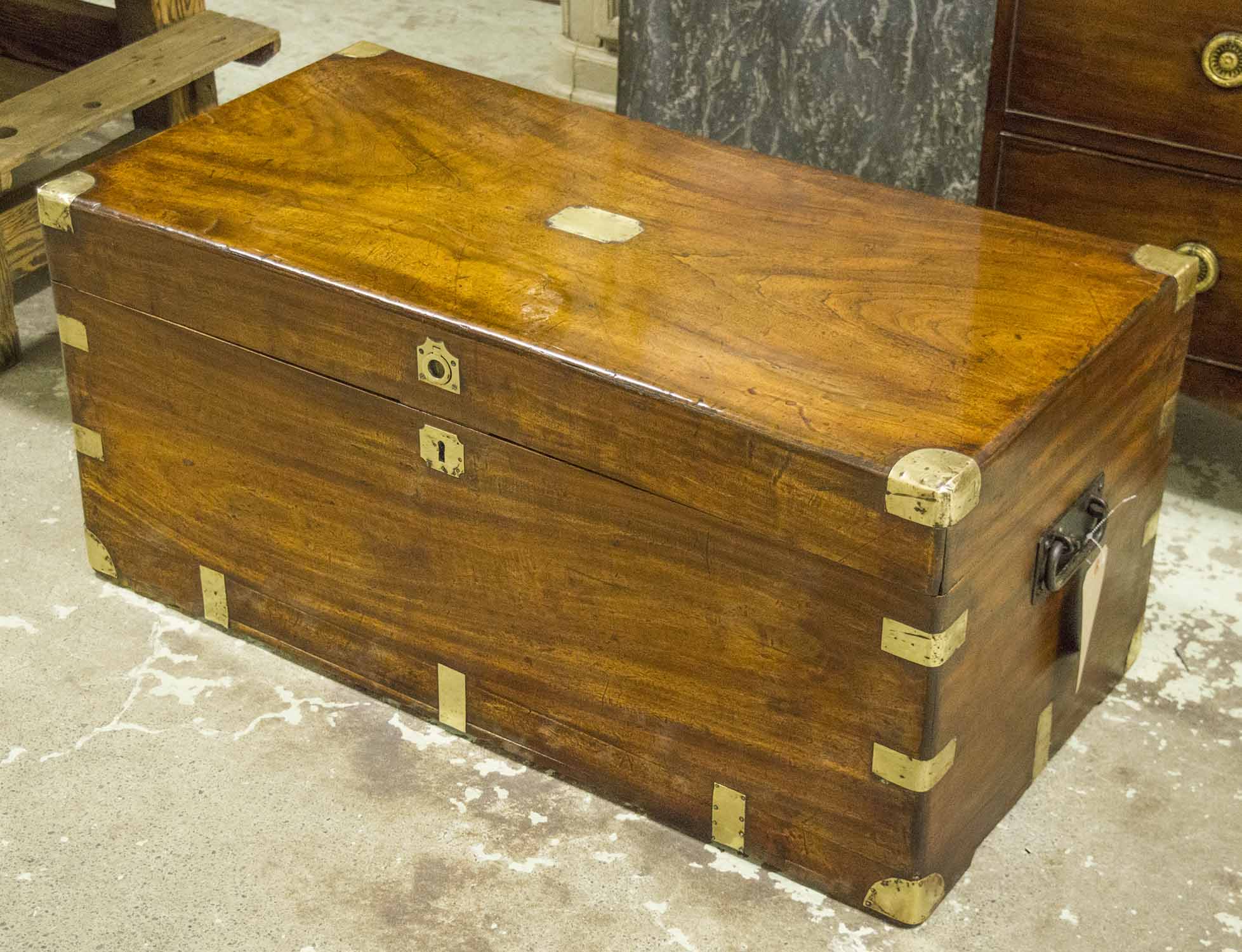 TRUNK, 19th century, camphorwood and brass bound, with rising lid and carrying handles,