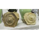 AMMONITE STEPHANOCEROS HUMPHRIESIANIUM, a set of two, Jurassic era Inferior Oolite,