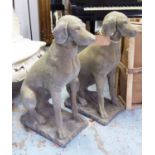 COUNTRY 'ESTATE' HOUNDS, a pair, vintage, 'Cotswold Stone' design, 75cm H x 65cm L.