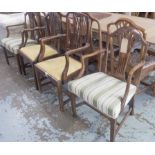 DINING CHAIRS, thirteen,