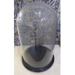 GLASS DISPLAY CASE, Victorian design domed on ebonised base, 48cm H.