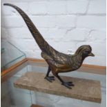 CONTEMPORARY SCHOOL, study of a pheasant, 31cm H x 34cm L.