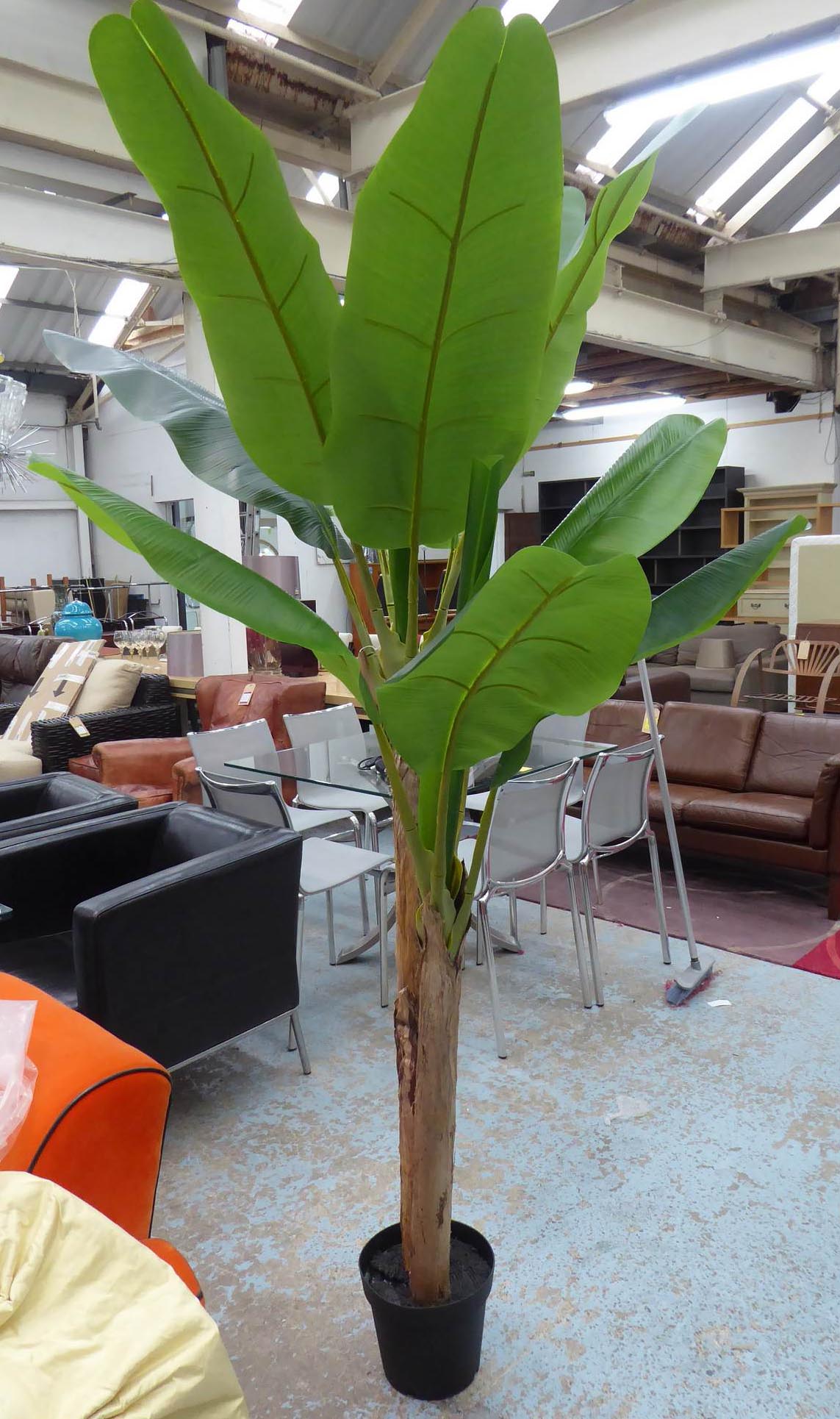 FAUX BANANA PALM, potted, 210cm H approx.