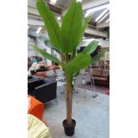 FAUX BANANA PALM, potted, 210cm H approx.