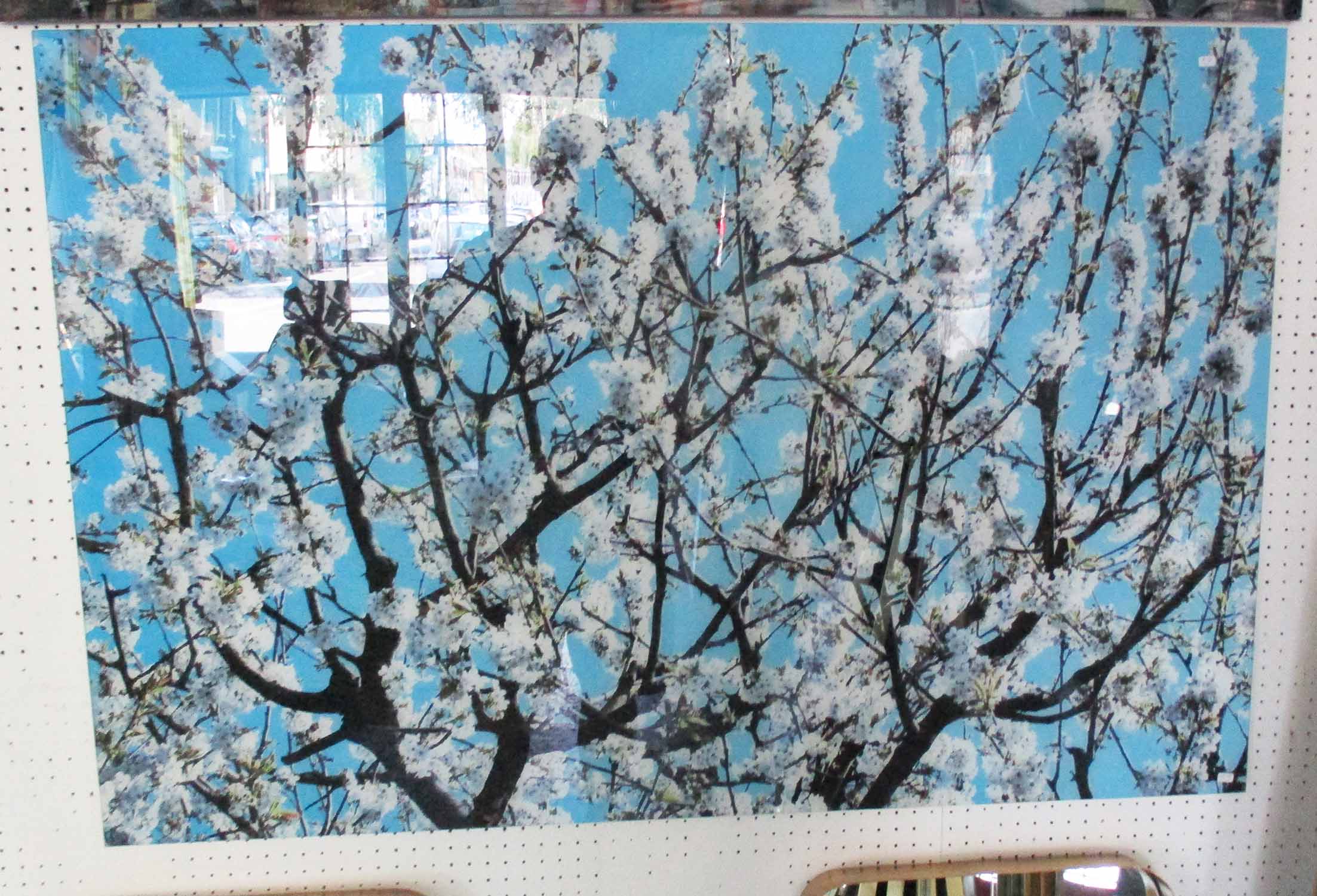 CONTEMPORARY SCHOOL, The Japanese Cherry Blossom, 120cm x 80cm.
