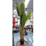 FAUX BANANA PALM, potted, 170cm H.