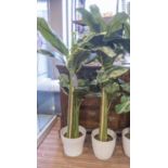 FAUX BANANA PALMS, a pair, potted 150cm H approx.