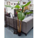 FAUX BANANA PALM, potted, 180cm H.
