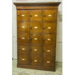 LOCKERS, Victorian mahogany a set of fifteen hinged panelled doors with plinth and cornice,