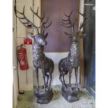 CONTEMPORARY SCHOOL STAGS, a pair, bronze, 200cm H.