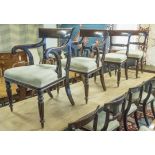 DINING CHAIRS, a set of eight (including two carvers), William IV mahogany,