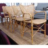 ORANGERY CHAIRS, a set of four, including two carvers, in rattan finish, 64cm W.