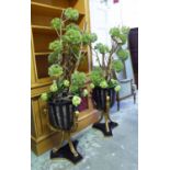 POTTED FAUX PLANTS, of large proportions in containers with gilt supports, each 165cm H.