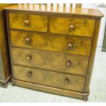 CHEST, Victorian burr walnut and walnut of two short and three long drawers, 120cm H x 50cm D.