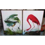 AFTER JOHN JAMES AUDUBON, a set of two prints from The Birds of America, framed, 113cm x 83cm.