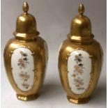 VASES, a pair,