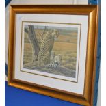 FRAMED PRINT 'WATCHFUL' SIGNED BY THE ARTIST NO 208/1250