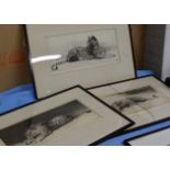 3 FRAMED ETCHINGS DEPICTING BIG CATS, INITIALLED H.D.