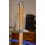 SILVER MOUNTED WALKING STICK