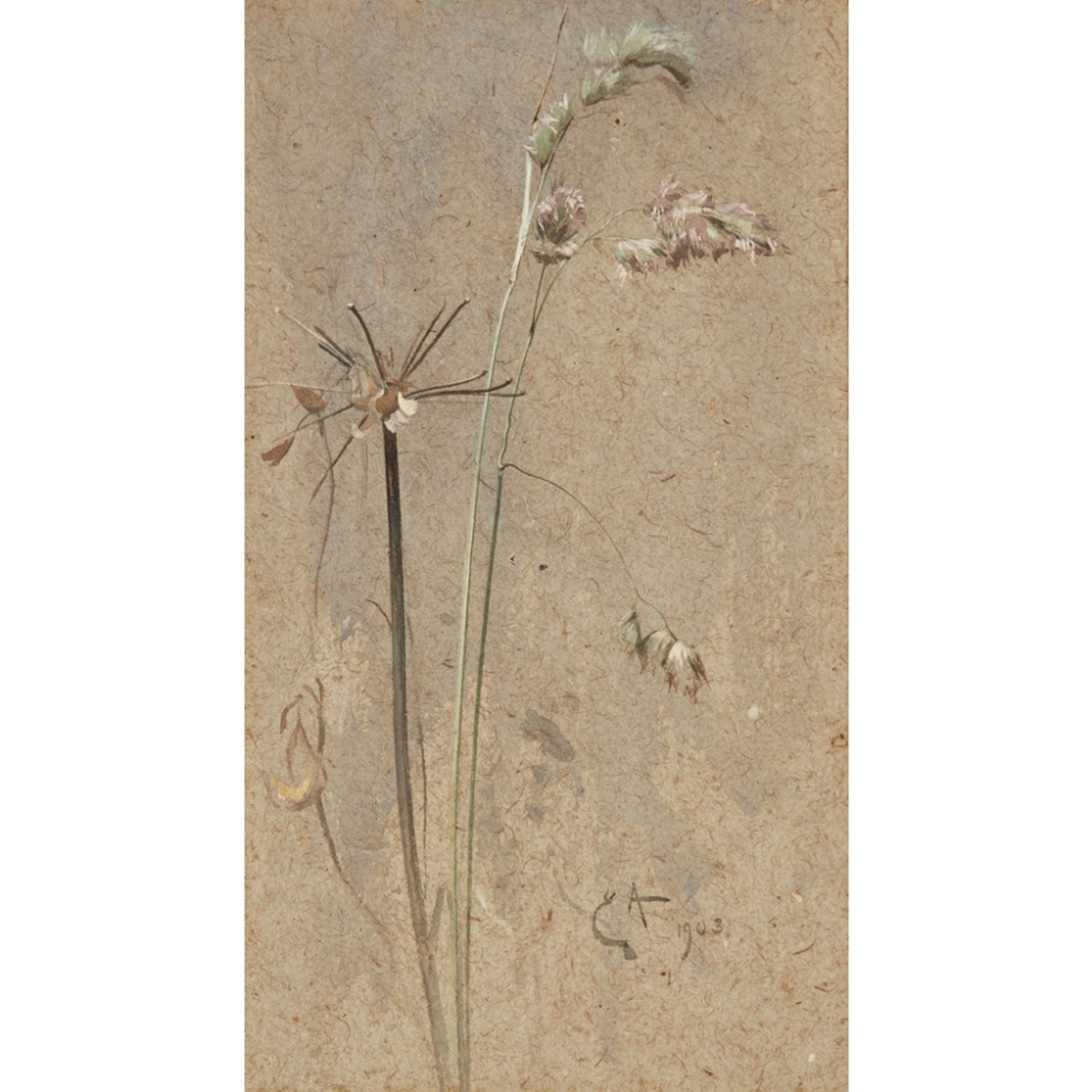 EDWIN ALEXANDER R.S.A., R.S.W., R.W.S. (SCOTTISH 1870-1926)COCKSFOOT GRASS Signed with a monogram