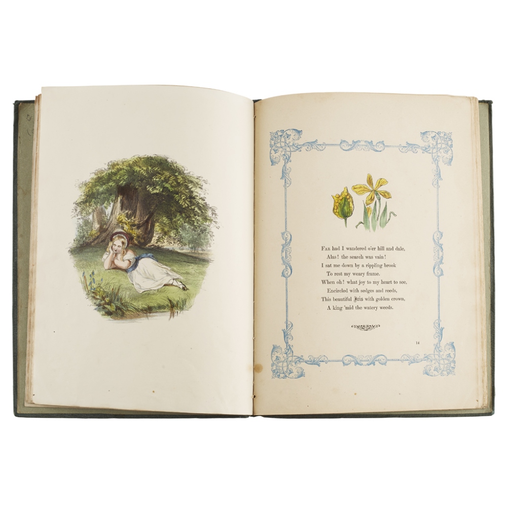 THE WILD FLOWERS OF THE ALPHABETA POEM FOR CHILDREN London: Ackermann and Co., 1858. 4to, hand-