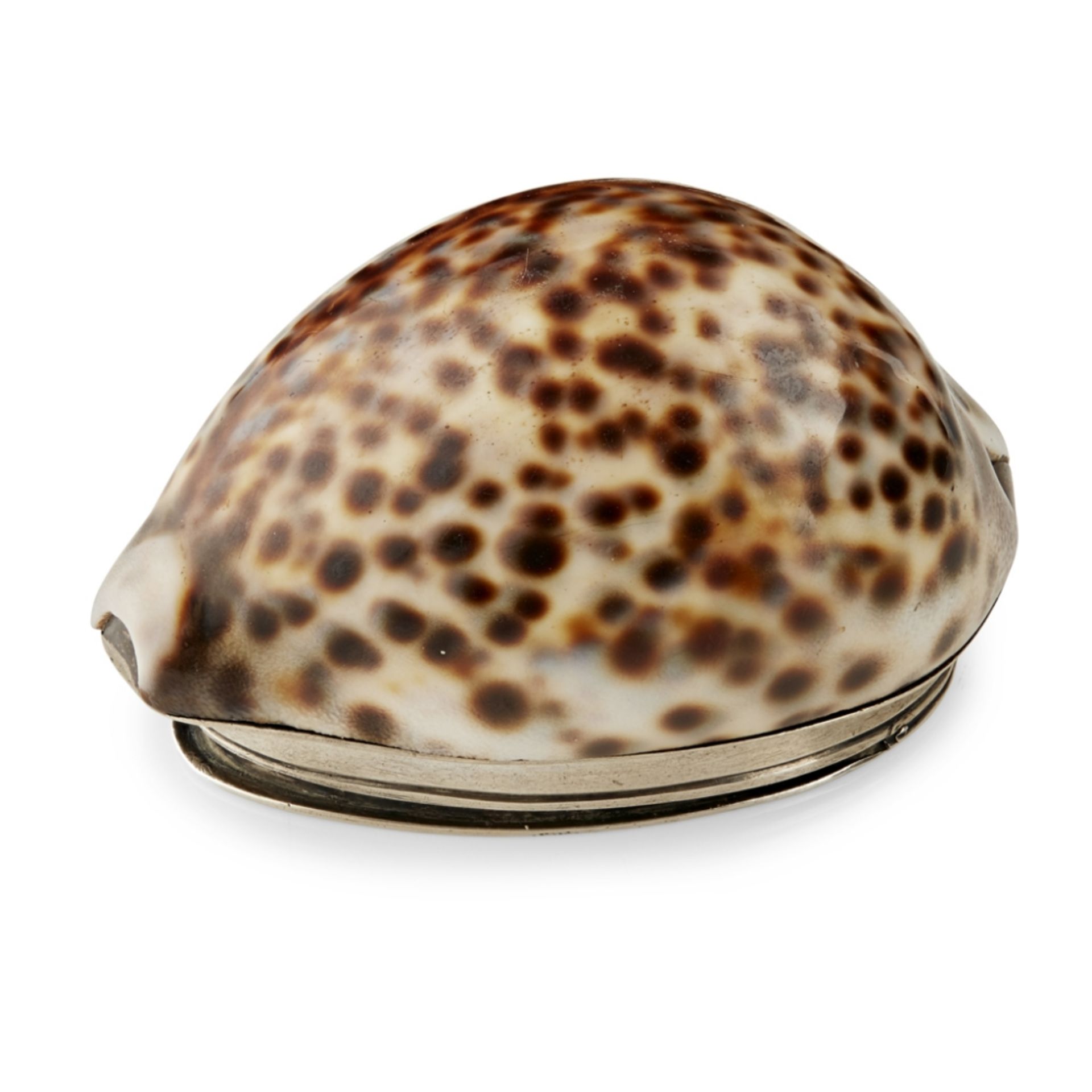 BANFF - A SCARCE SCOTTISH PROVINCIAL COWRIE SHELL SNUFF BOX DAVID IZAT marked DI, the cowrie shell - Image 2 of 2