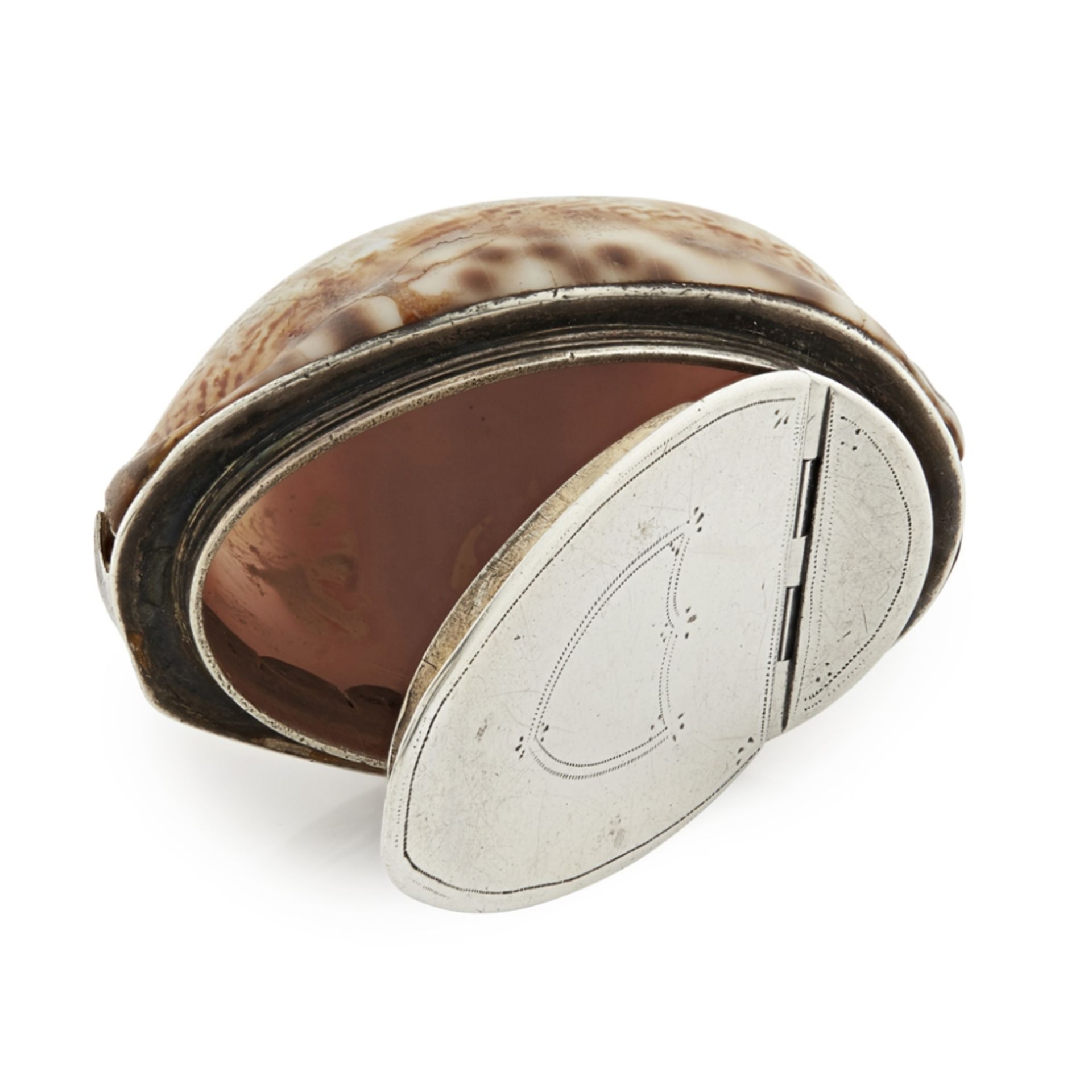 ABERDEEN - A SCOTTISH PROVINCIAL MINIATURE COWRIE SHELL SNUFF BOX WILLIAM JAMIESON marked WJ, ABD,