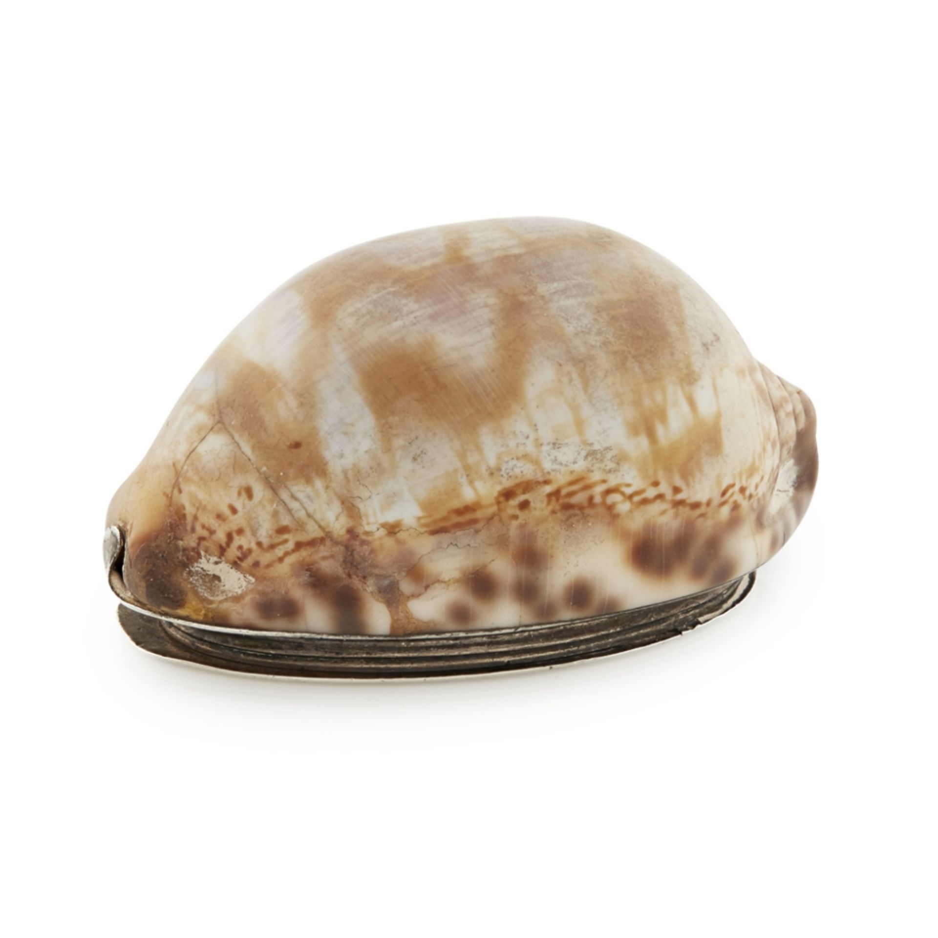 ABERDEEN - A SCOTTISH PROVINCIAL MINIATURE COWRIE SHELL SNUFF BOX WILLIAM JAMIESON marked WJ, ABD, - Image 2 of 2