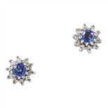 A pair of sapphire and diamond set cluster earrings claw set with a round cut sapphire in a border