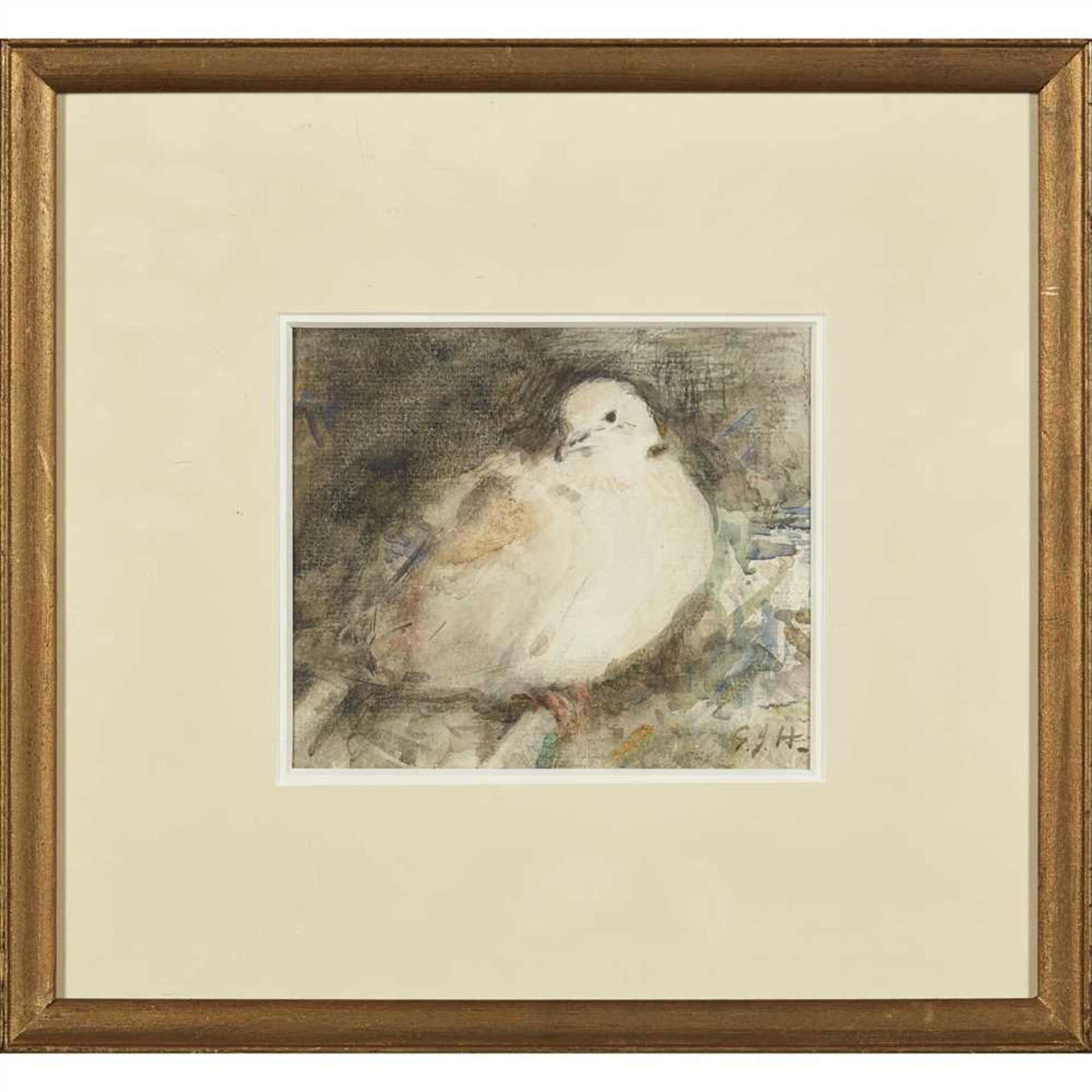 GEORGE JACKSON HUTCHISON (SCOTTISH 1896-1918) COLLARED DOVE Signed, watercolour (Dimensions: 18cm - Image 3 of 4
