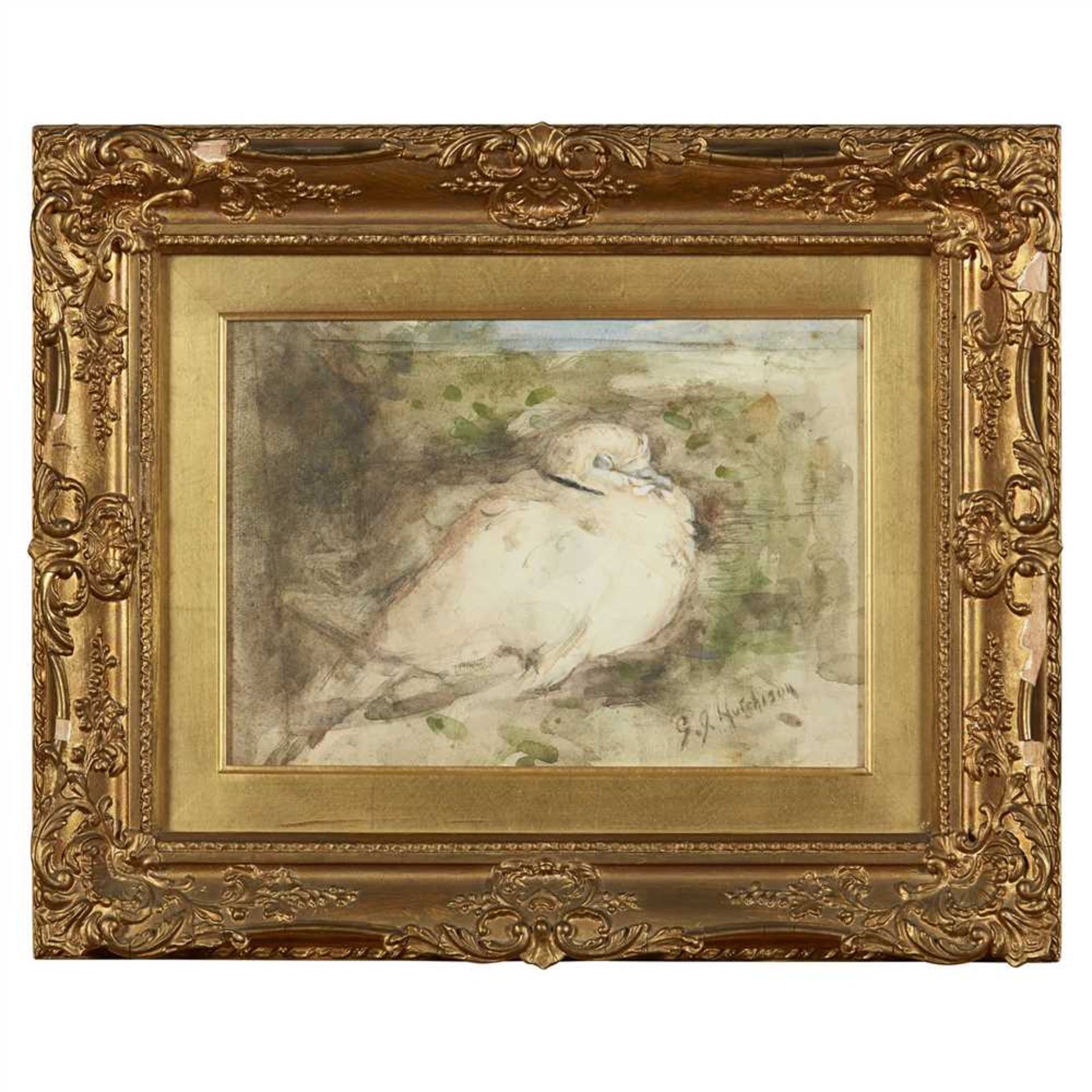 GEORGE JACKSON HUTCHISON (SCOTTISH 1896-1918) COLLARED DOVE Signed, watercolour (Dimensions: 18cm - Image 4 of 4