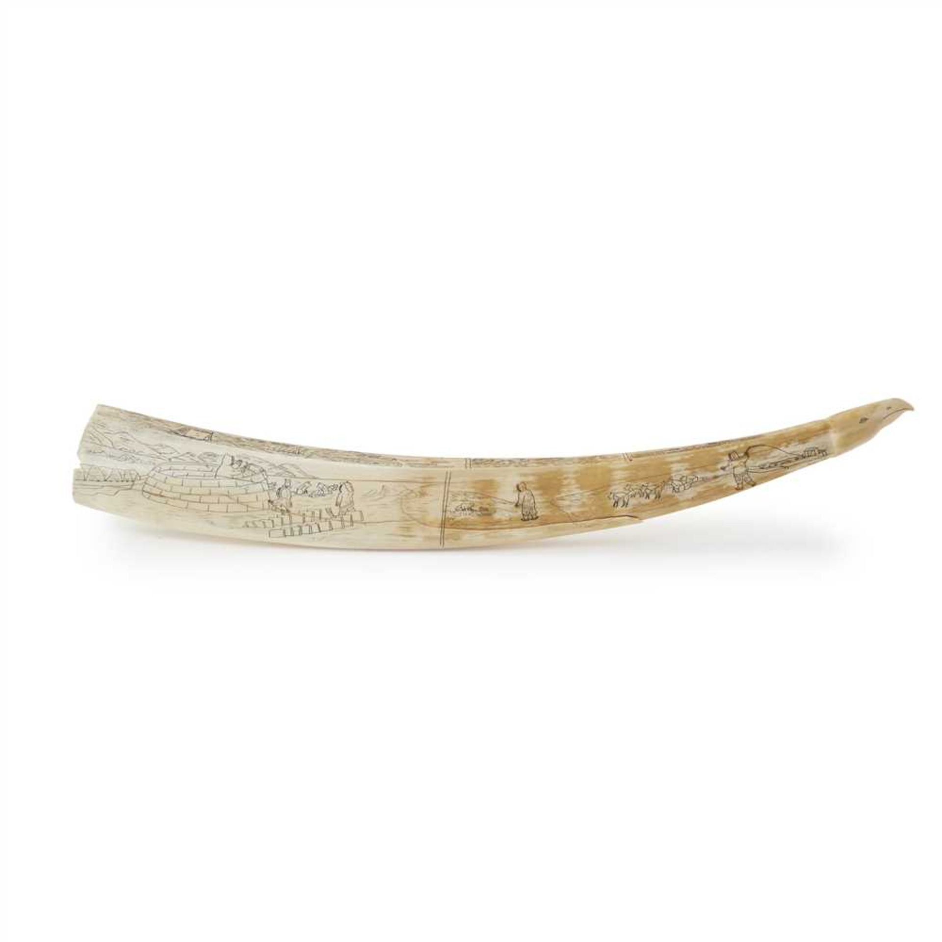 INUIT SCRIMSHAW TUSK REPULSE BAY, CANADA carved walrus tusk, the obverse with a seal hunting scene - Image 2 of 3