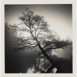 § ? Michael Kenna (British 1953-) Leaning Tree, Pruhonice, Czechoslovakia, 1992