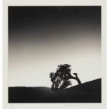 § ? Michael Kenna (British 1953-) Rancho San Carlos, Study 10, California, USA, 1993