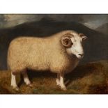 William Shiels R.S.A. (Scottish 1785-1857) Cheviot Ram