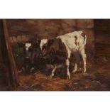 David Gauld R.S.A. (Scottish 1865-1936) Two calves by a water butt