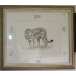 Stephen Gayford 'The Hunter' study of a cheetah Signed limited edition etching 192/550 in margin