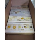 A large collection of 19th and 20th century scientific specimen microscope slides