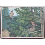 German early 20th century A study of thrushes and their nest Chromolithograph mounted on board