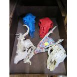 Three sheep skulls and two deer skulls, three painted, and a pair of jaws