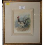 H.S. Joyce Cockerel in a landscape Watercolour study, 15cm x 12cm