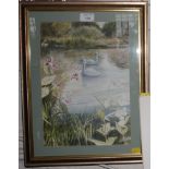 Nancy Larcombe Two swans by a river bank watercolour signed 34cm x 24cm